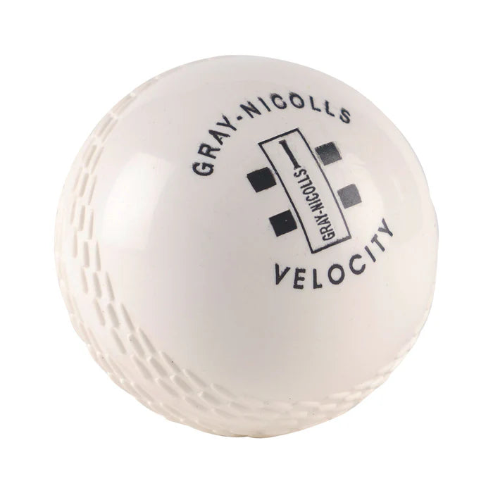 Gray Nicolls Velocity Cricket Ball